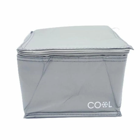 Foldable 4L Cooler Bag