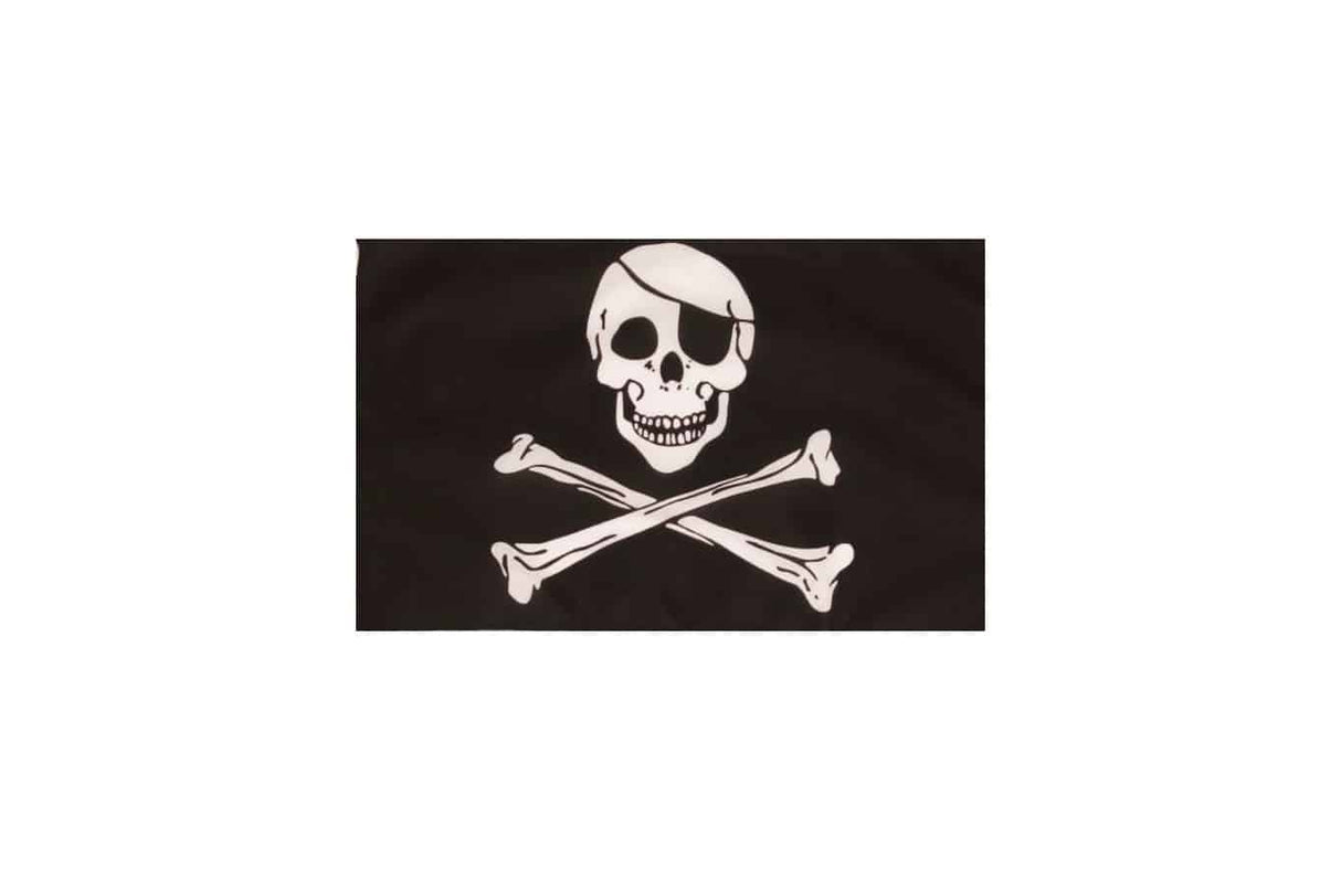 Handheld Car Flag (30x45cm)